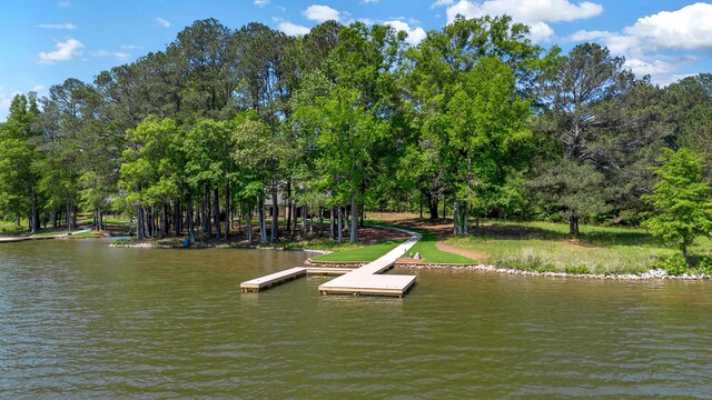 dock with a water view and view of scattered trees