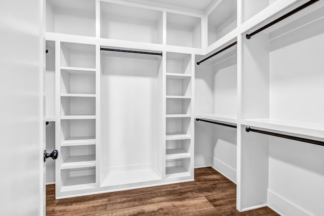 spacious closet with dark wood finished floors