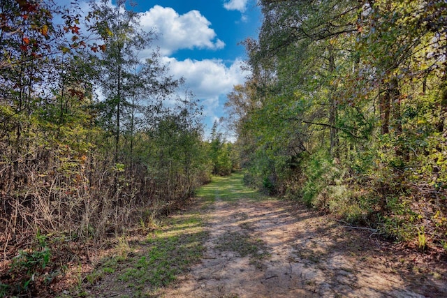 2081 Godfrey Rd, Madison, GA 30650 - photo 43