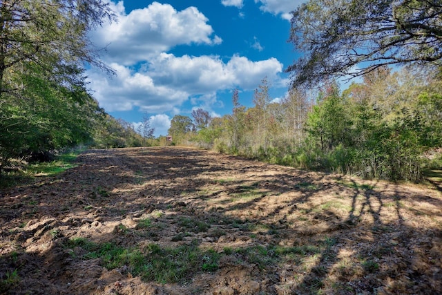 2081 Godfrey Rd, Madison, GA 30650 - photo 52