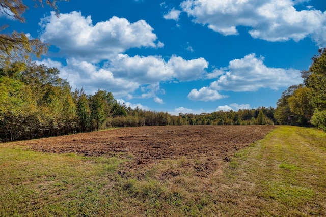 2081 Godfrey Rd, Madison, GA 30650 - photo 39