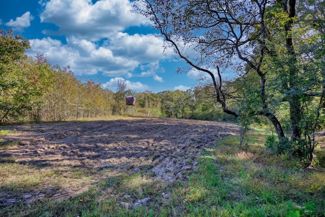 2081 Godfrey Rd, Madison, GA 30650 - photo 49