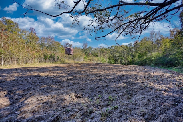 2081 Godfrey Rd, Madison, GA 30650 - photo 50