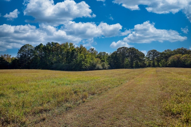 2081 Godfrey Rd, Madison, GA 30650 - photo 35
