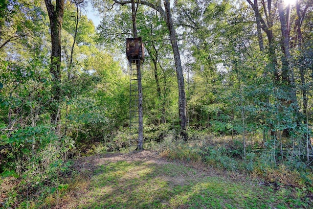 2081 Godfrey Rd, Madison, GA 30650 - photo 51