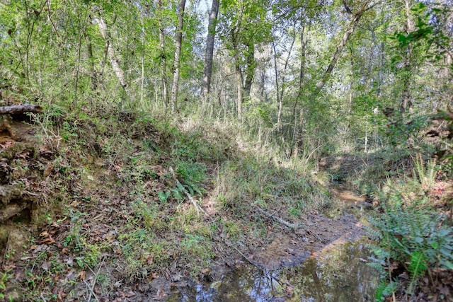 2081 Godfrey Rd, Madison, GA 30650 - photo 60