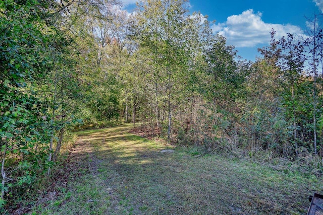 2081 Godfrey Rd, Madison, GA 30650 - photo 48