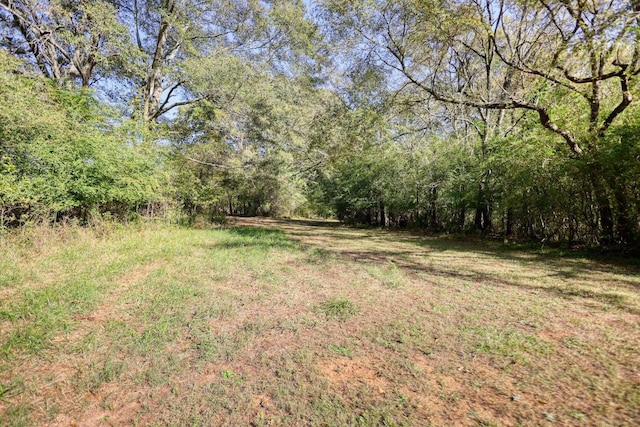 2081 Godfrey Rd, Madison, GA 30650 - photo 38