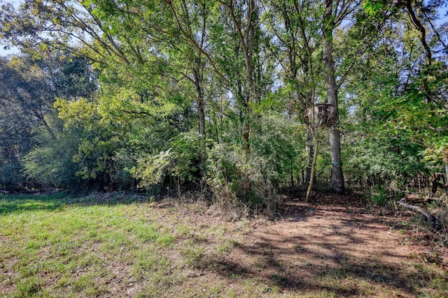 2081 Godfrey Rd, Madison, GA 30650 - photo 36