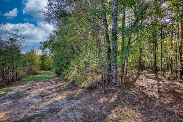 2081 Godfrey Rd, Madison, GA 30650 - photo 42