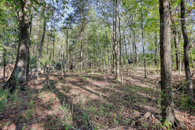 2081 Godfrey Rd, Madison, GA 30650 - photo 61