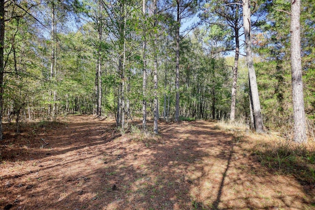 2081 Godfrey Rd, Madison, GA 30650 - photo 44