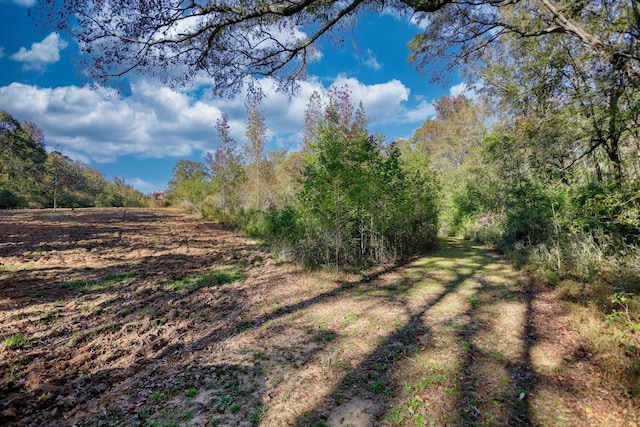 2081 Godfrey Rd, Madison, GA 30650 - photo 57