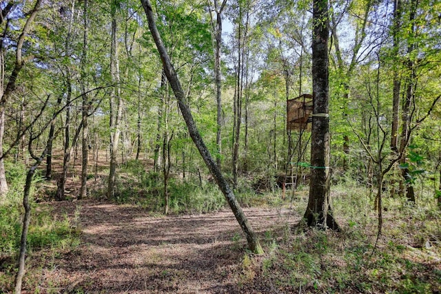 2081 Godfrey Rd, Madison, GA 30650 - photo 58