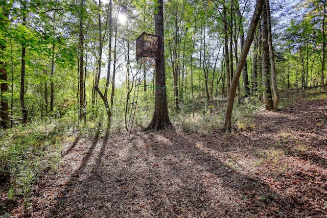 2081 Godfrey Rd, Madison, GA 30650 - photo 62