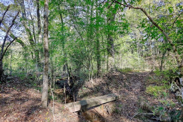 2081 Godfrey Rd, Madison, GA 30650 - photo 53