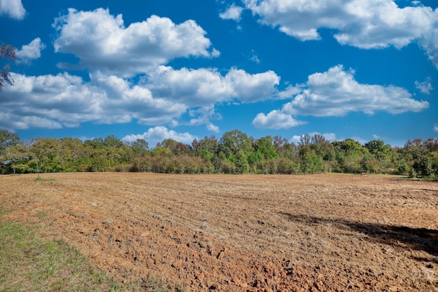 2081 Godfrey Rd, Madison, GA 30650 - photo 40