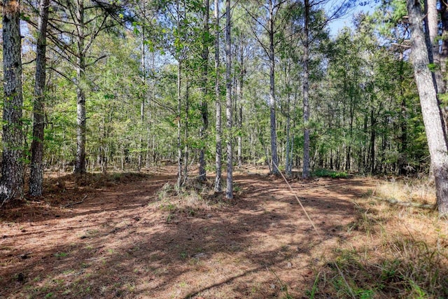2081 Godfrey Rd, Madison, GA 30650 - photo 45