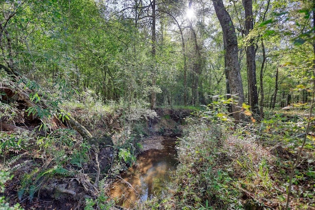 2081 Godfrey Rd, Madison, GA 30650 - photo 54