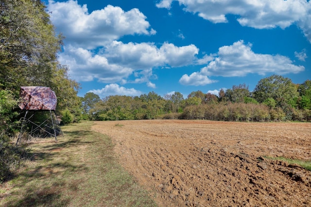 2081 Godfrey Rd, Madison, GA 30650 - photo 41