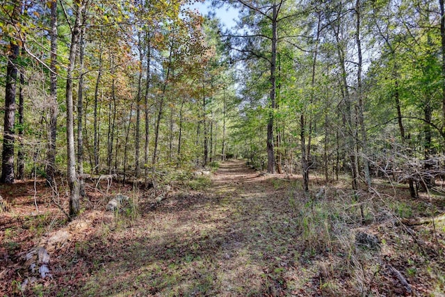 2081 Godfrey Rd, Madison, GA 30650 - photo 46