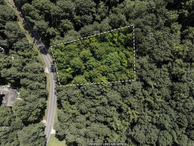 0 Apalachee Woods Trl, Buckhead, GA 30625 - photo 5