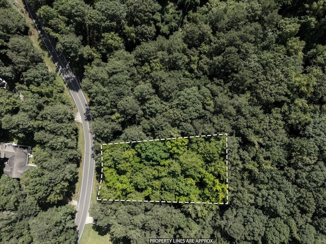 0 Apalachee Woods Trl, Buckhead, GA 30625 - photo 4
