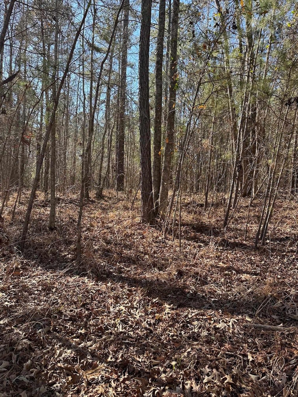 673 Parham Dr, Milledgeville, GA 31061