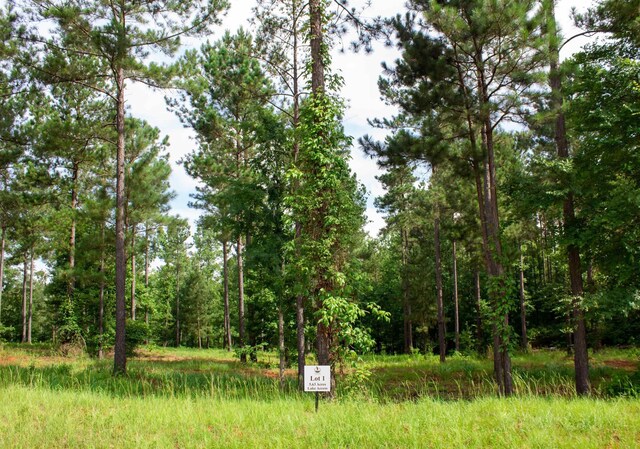 100 Overlook Dr, Eatonton GA, 31024 land for sale