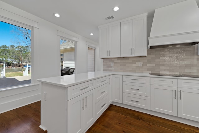 136 Hidden Lake Dr, Eatonton, GA 31024 - kitchen featuring black electric stovetop, white cabinetry, custom exhaust hood, and dark wood-type flooring
