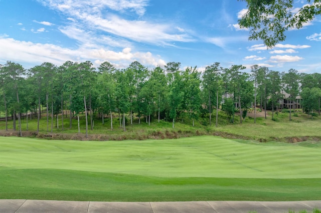 1070 Griffin Crk, Greensboro, GA 30642 - view of property's community featuring view of wooded area, a yard, and view of golf course