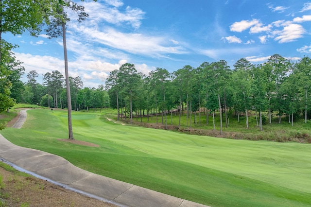 1070 Griffin Crk, Greensboro, GA 30642 - surrounding community with view of golf course and view of scattered trees