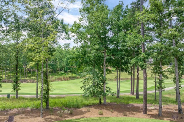 1070 Griffin Crk, Greensboro, GA 30642 - surrounding community featuring a yard and view of scattered trees
