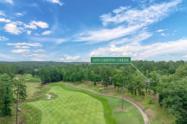 1070 Griffin Crk, Greensboro, GA 30642 - bird's eye view of a golf club