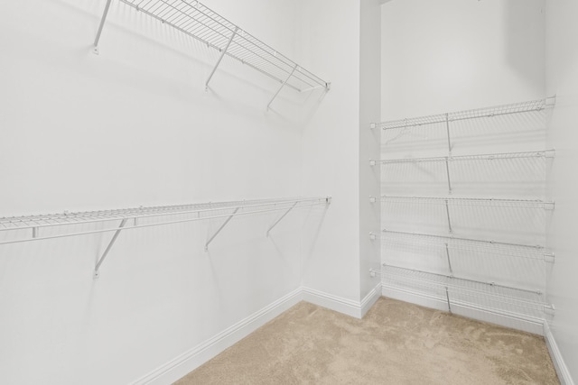 spacious closet with light carpet