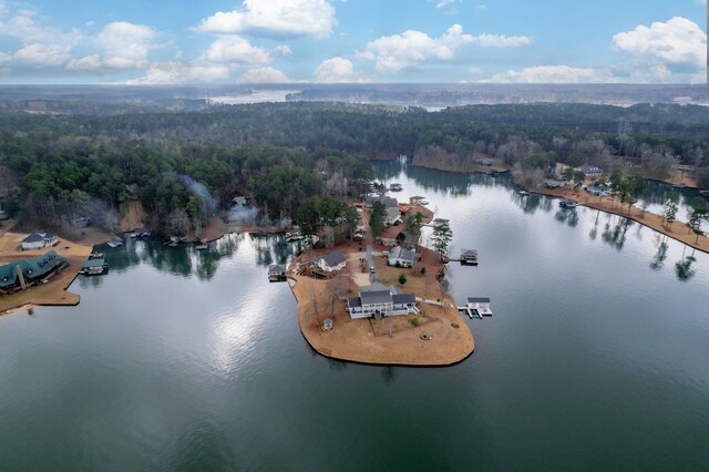 408 Sheffield Ln, Sparta, GA 31087 - bird's eye view featuring a view of trees and a water view