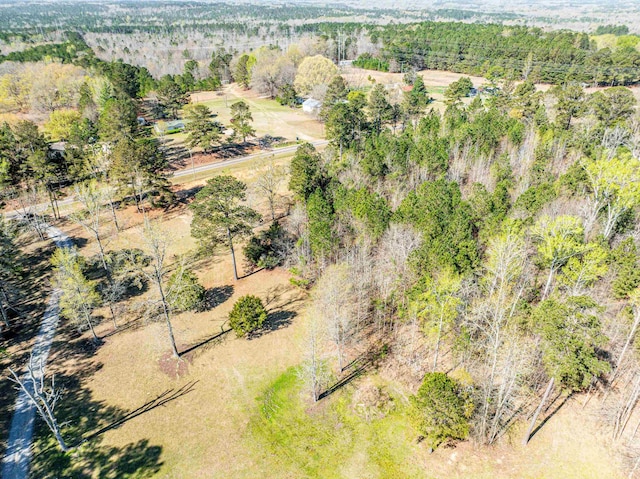251 Pettigrew Rd, Milledgeville, GA 31061 - bird's eye view with a forest view