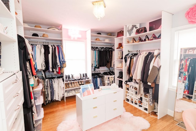 251 Pettigrew Rd, Milledgeville, GA 31061 - spacious closet with light wood-style floors