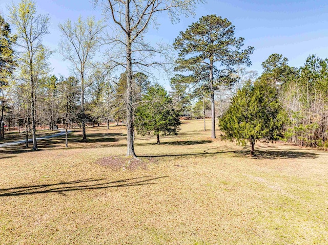 251 Pettigrew Rd, Milledgeville, GA 31061 - view of yard