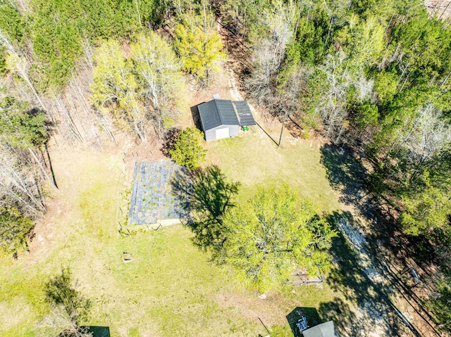 251 Pettigrew Rd, Milledgeville, GA 31061 - birds eye view of property