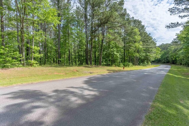 1141 Sunset Overlook, Greensboro, GA 30642 - photo 8