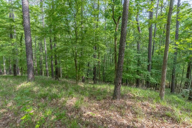 1141 Sunset Overlook, Greensboro, GA 30642 - photo 12