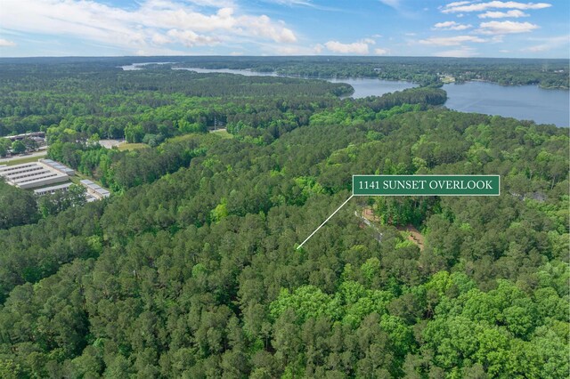 1141 Sunset Overlook, Greensboro, GA 30642 - photo 3