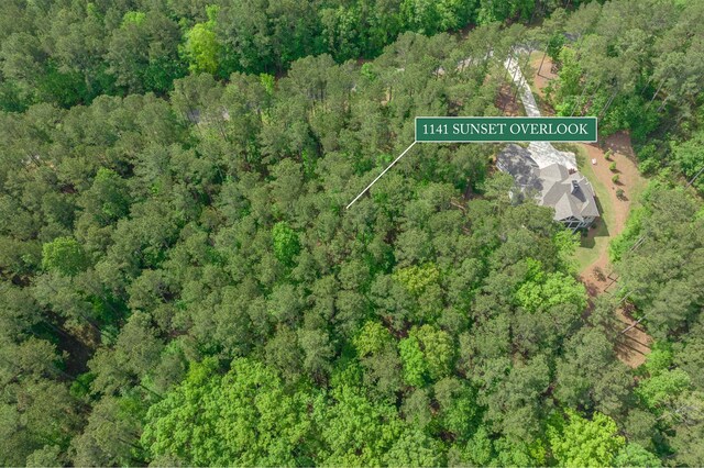 1141 Sunset Overlook, Greensboro, GA 30642 - photo 19