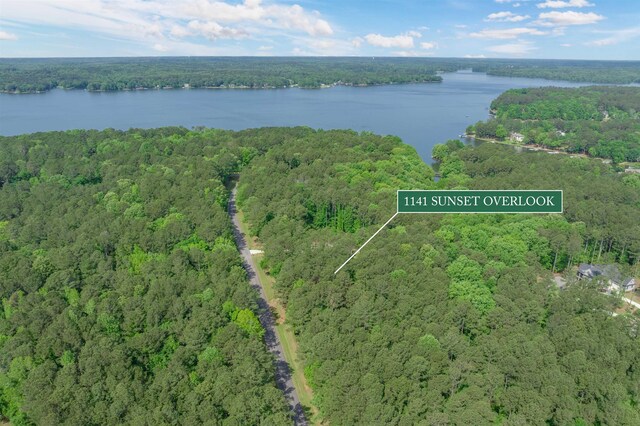 1141 Sunset Overlook, Greensboro, GA 30642 - photo 4