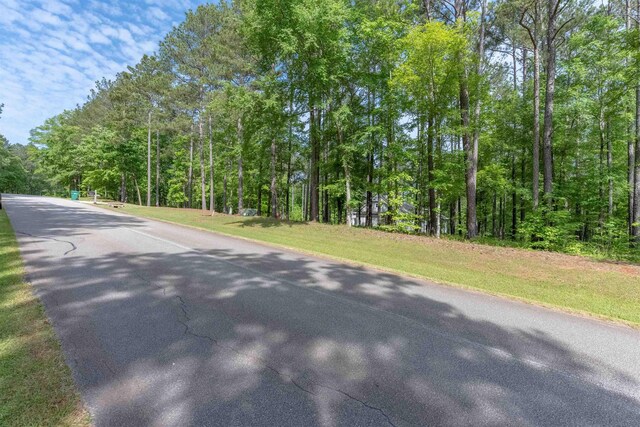 1141 Sunset Overlook, Greensboro, GA 30642 - photo 7
