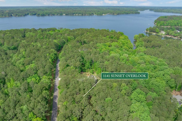 1141 Sunset Overlook, Greensboro, GA 30642 - photo 1