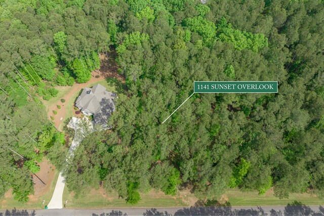 1141 Sunset Overlook, Greensboro, GA 30642 - photo 16