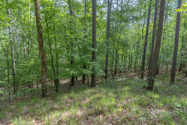 1141 Sunset Overlook, Greensboro, GA 30642 - photo 13
