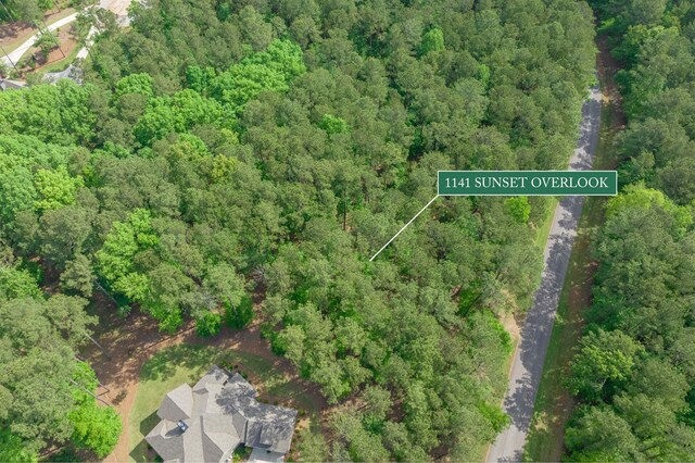 1141 Sunset Overlook, Greensboro, GA 30642 - photo 17